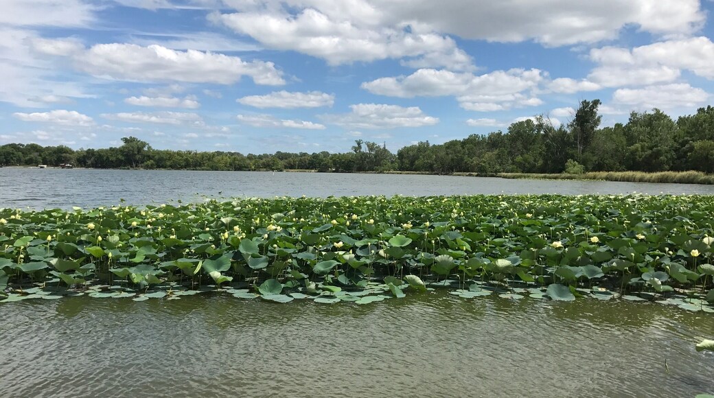 Just a beautiful day.