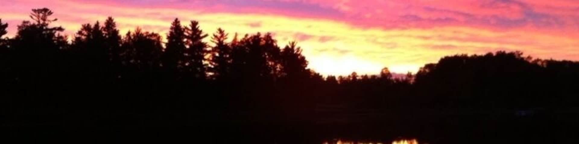 Pines reflecting at sunset #treetrove