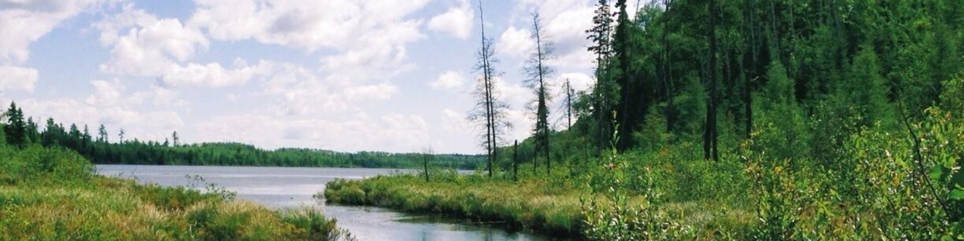 A calm river surrounded by dense green vegetation and trees under a partly cloudy sky.