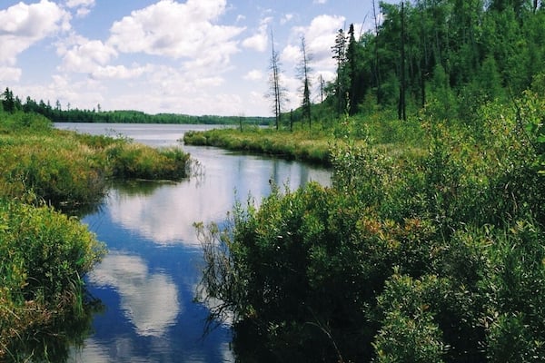 A calm river surrounded by dense green vegetation and trees under a partly cloudy sky.