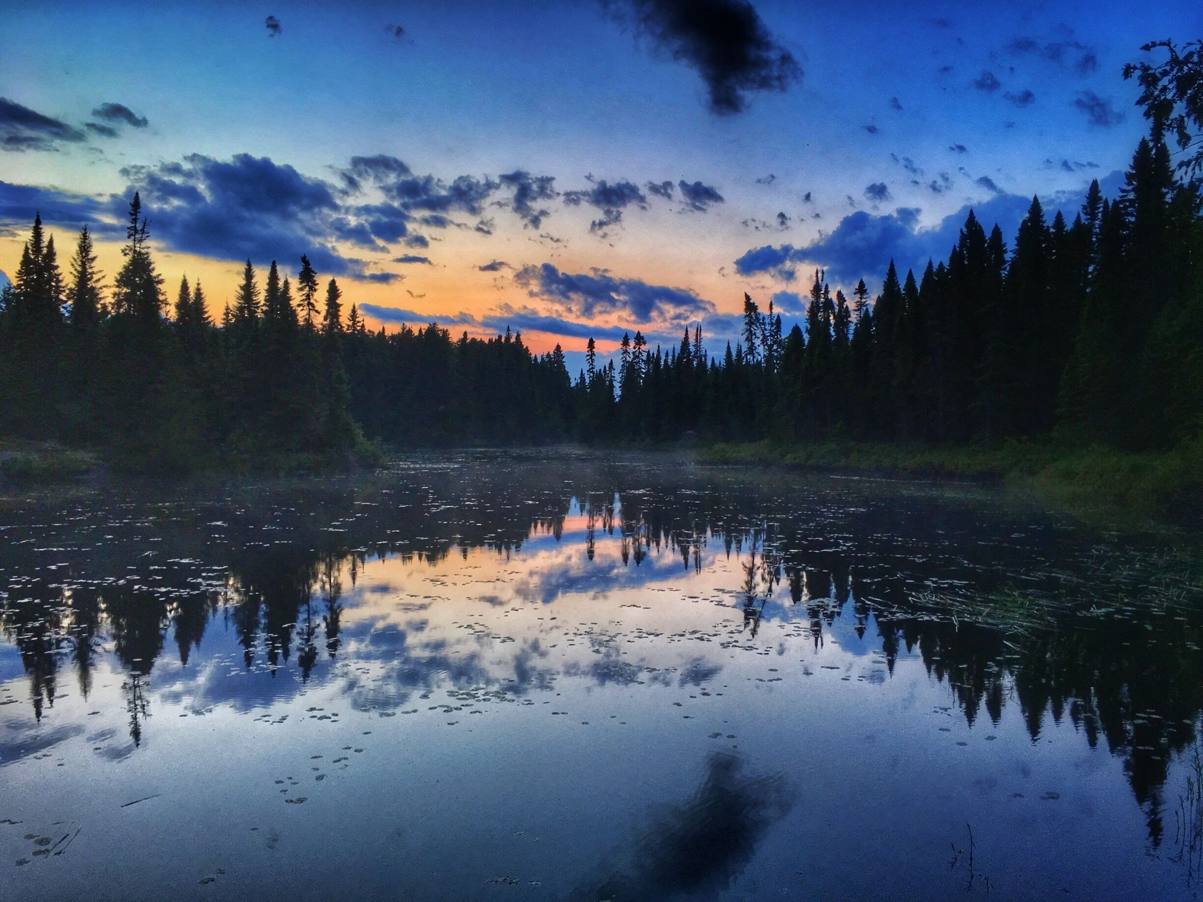 Sunset on Karl Lake

Boundary Waters Canoe Area

Shot from the shoreline at our campsite on Karl Lake. The ONLY campsite on the lake. Secluded and beautiful location surrounded by breathtaking scenery. 

There was a family of otters on the lake that tolerated us and a beaver would swim by each morning and slap its tail to let us know their feelings about our being in there.