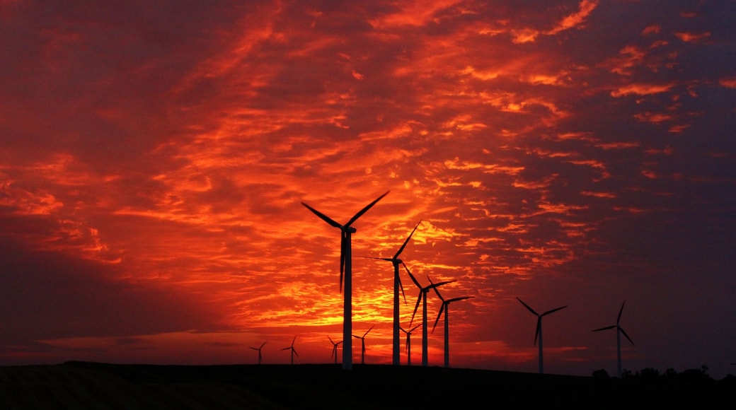 Tuulivoimalat piirtyvät tummina vasten kirkkaan värikästä auringonlaskun taivasta.