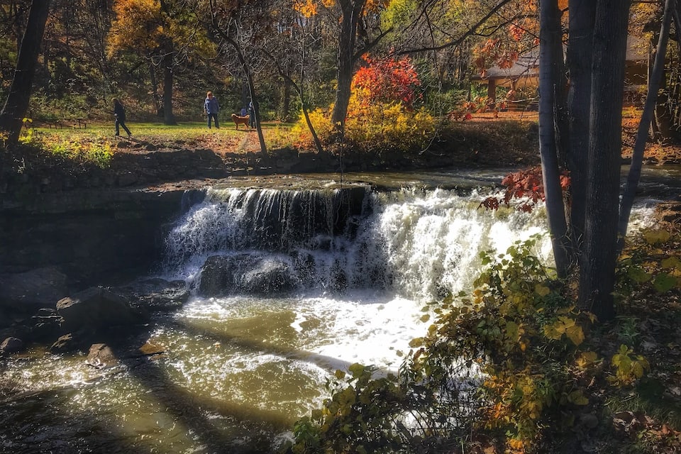 A waterfall in a park with autumn foliage.