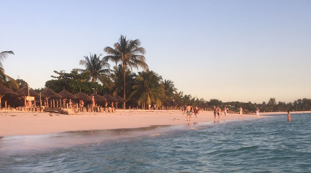 Zanzibar
La gemma del este diamond coast