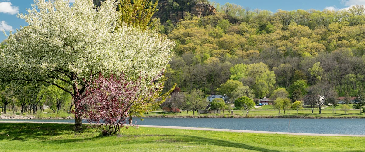 A park with a lake, a blooming tree, and a rocky hill with a tower.