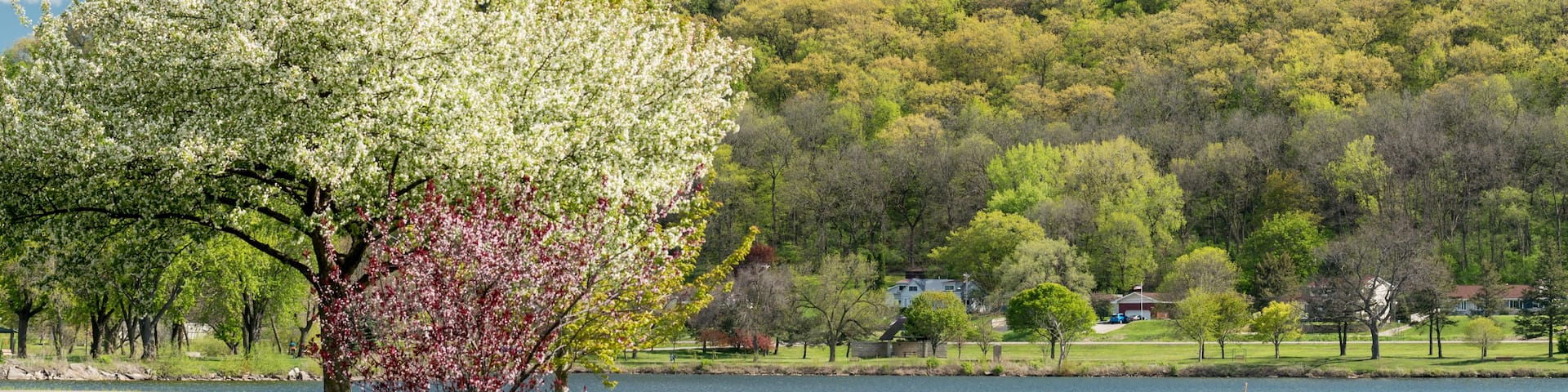 A park with a lake, a blooming tree, and a rocky hill with a tower.