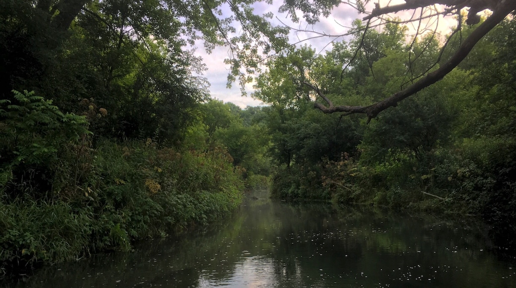 Beautiful trout stream in SE MN. The fly fishing is amazing. #browntrout #flyfishing #redwing #minnesota