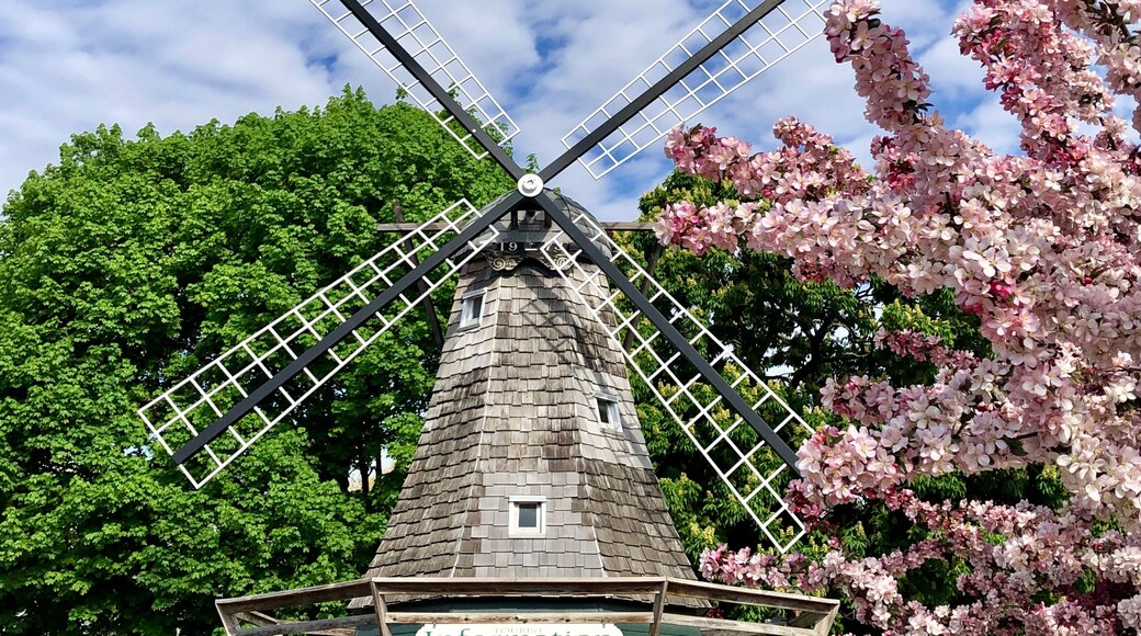 What a great little town. We stopped into Pella, Iowa, to have a few Danish pastries for breakfast. What we found was an absolutely beautiful town full of tulips and springtime blooms.
