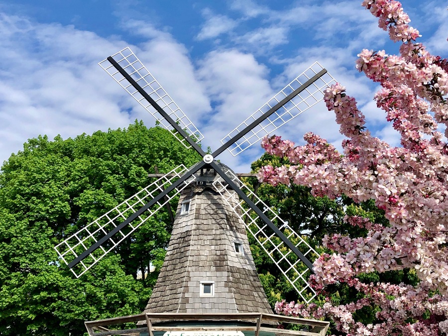 What a great little town. We stopped into Pella, Iowa, to have a few Danish pastries for breakfast. What we found was an absolutely beautiful town full of tulips and springtime blooms.