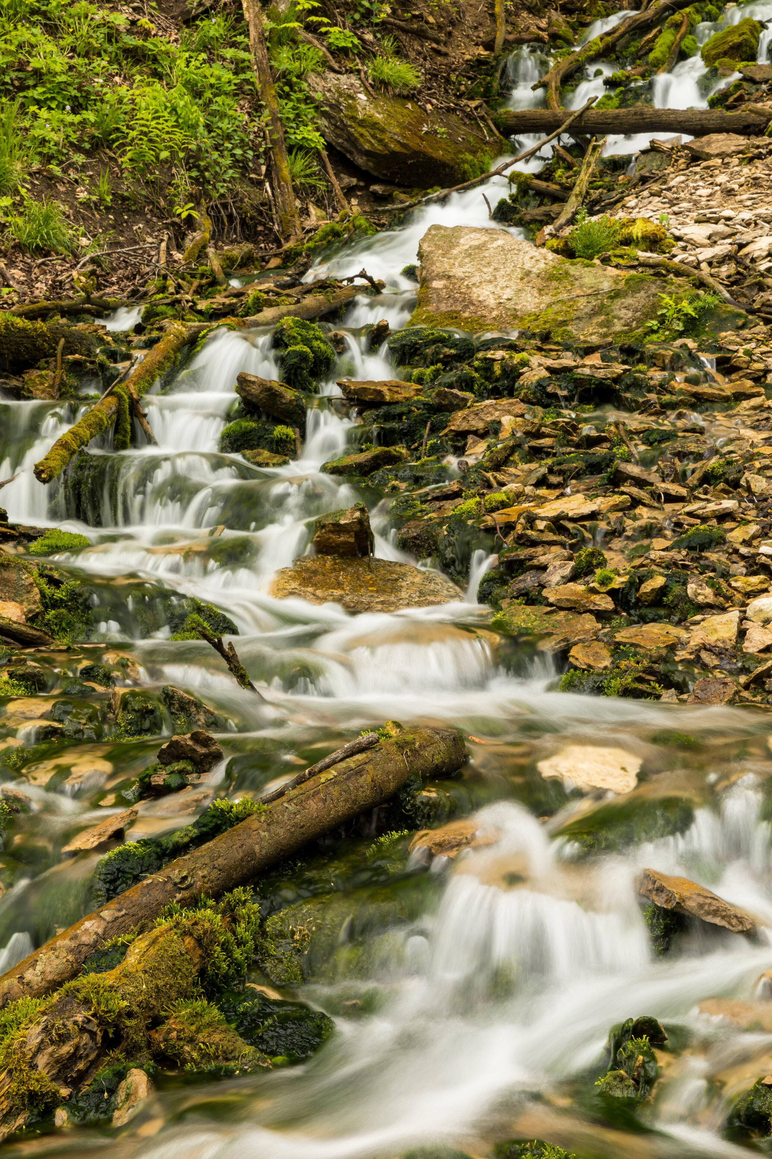 Malanphy Springs Upper Waterfall