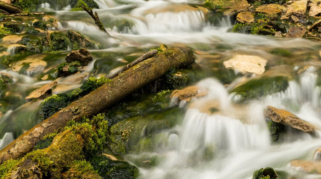 Malanphy Springs Upper Waterfall