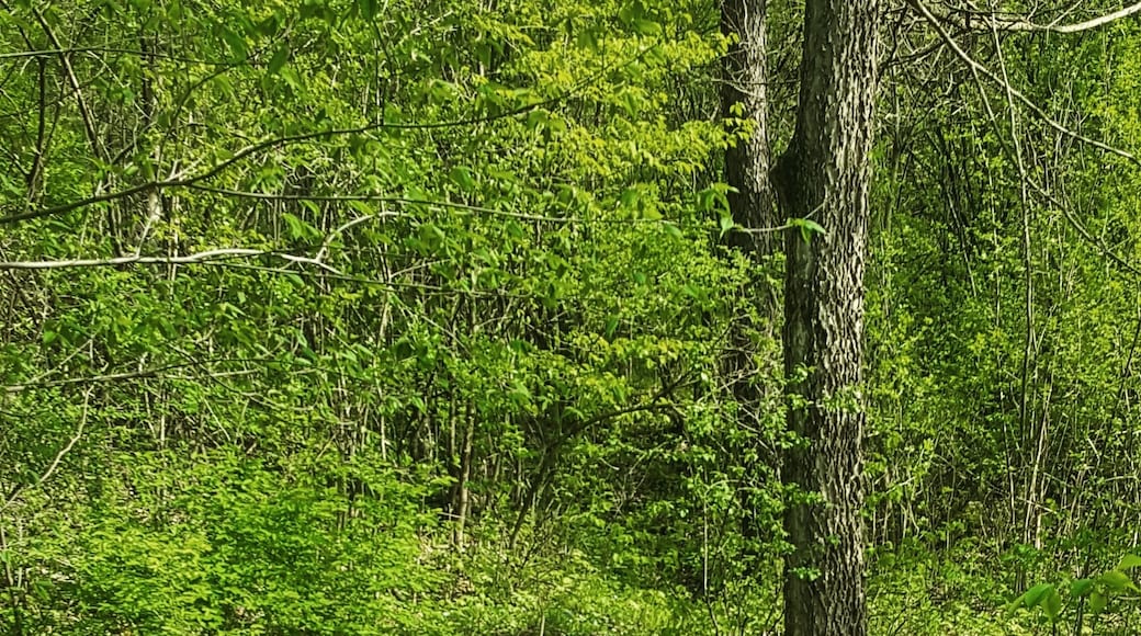 Explore the roads less traveled.
#takeahike