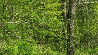 Explore the roads less traveled.
#takeahike