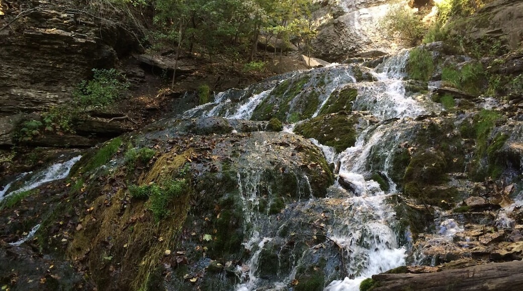 Beautiful park in the foothills surrounding Decorah. One of the notable features is this large waterfall that can be hiked on.
#localgem