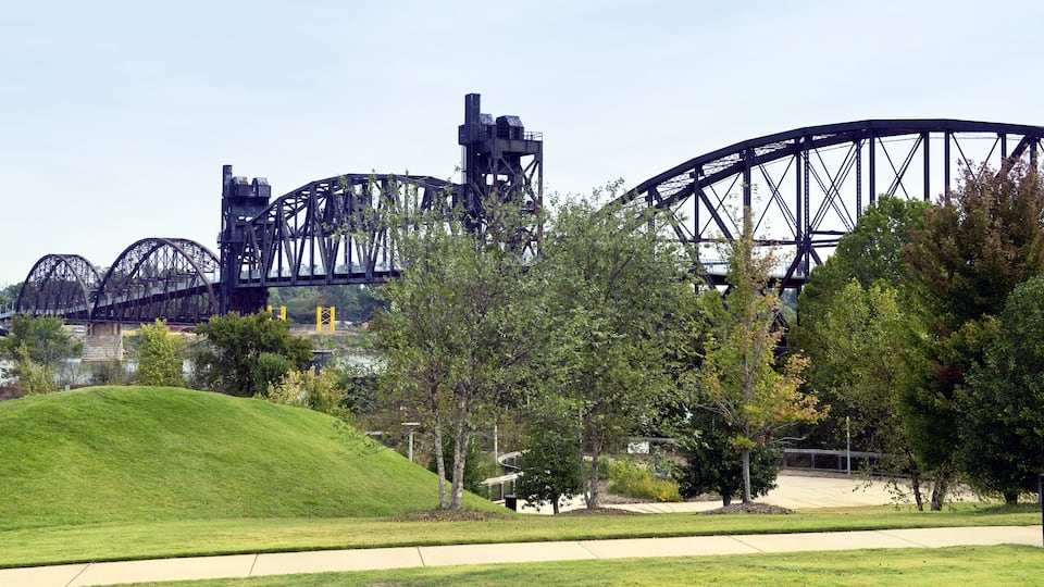 A large steel bridge with multiple arches and a grassy area in the foreground.
