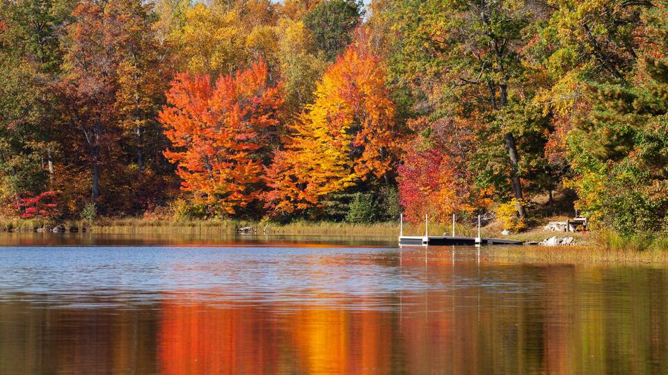 A calm lake surrounded by autumn-colored trees.