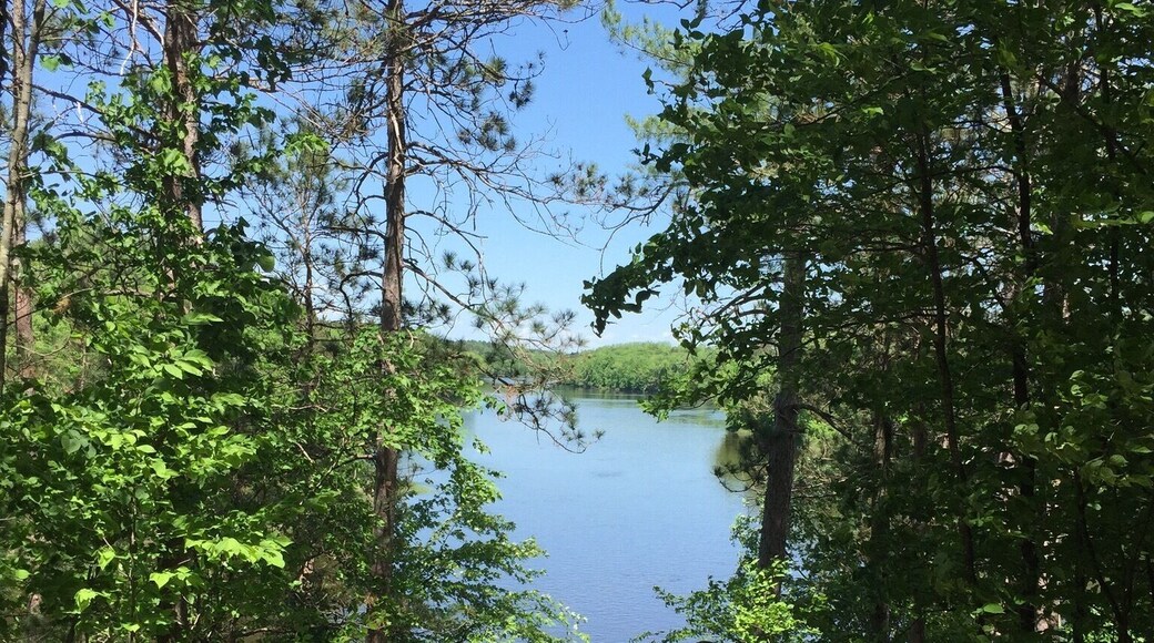 Chippewa lookout at CW State Park