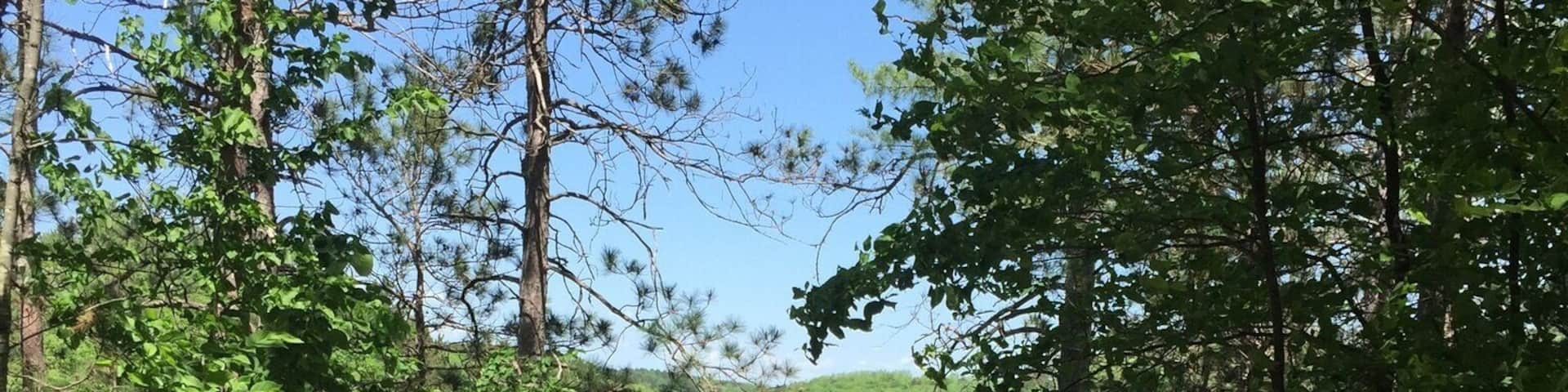 Chippewa lookout at CW State Park