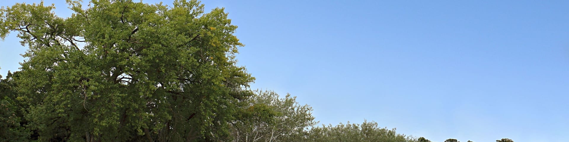 Lake Washington Shoreline with Docks and Boats