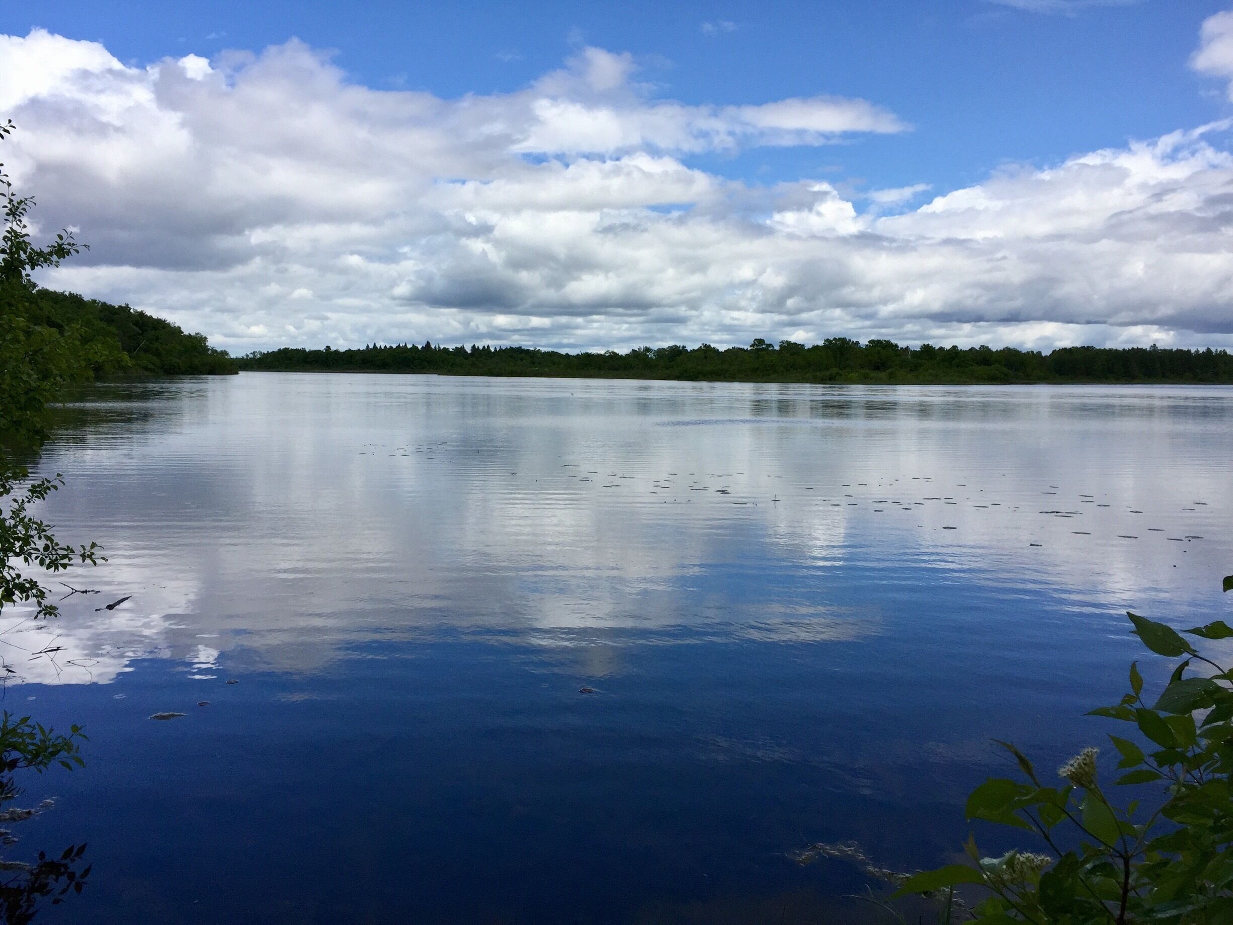 So many lakes in Minnesota!! We're in love!!