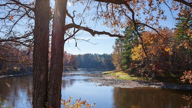 Bend in the Mississippi River near Brainerd Minnesota on a bright autumn day