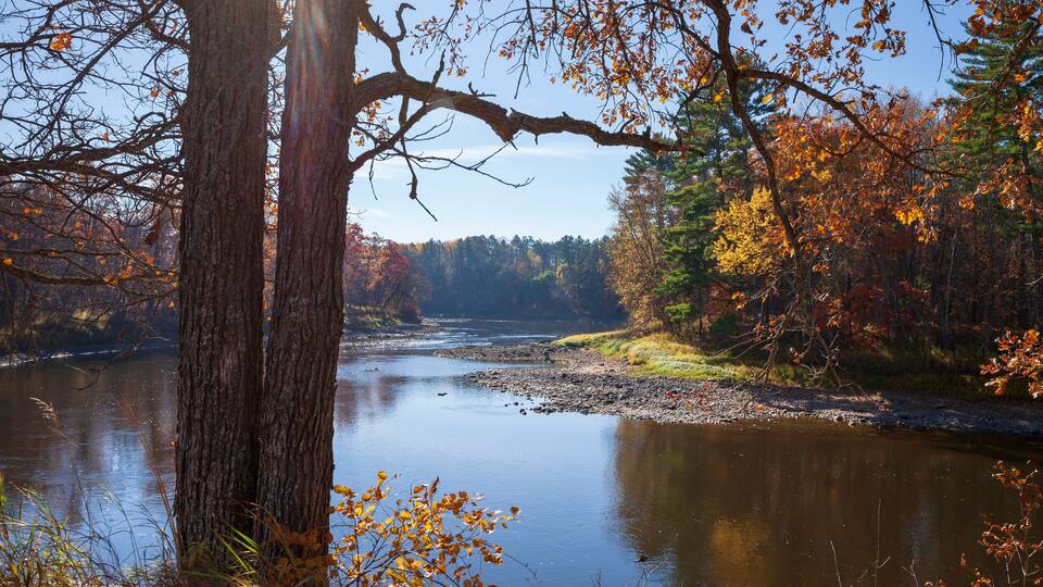 A river surrounded by autumn trees and a clear sky.
