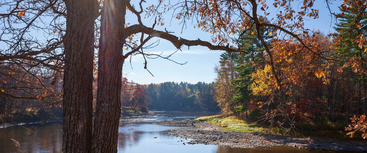 A river surrounded by autumn trees and a clear sky.