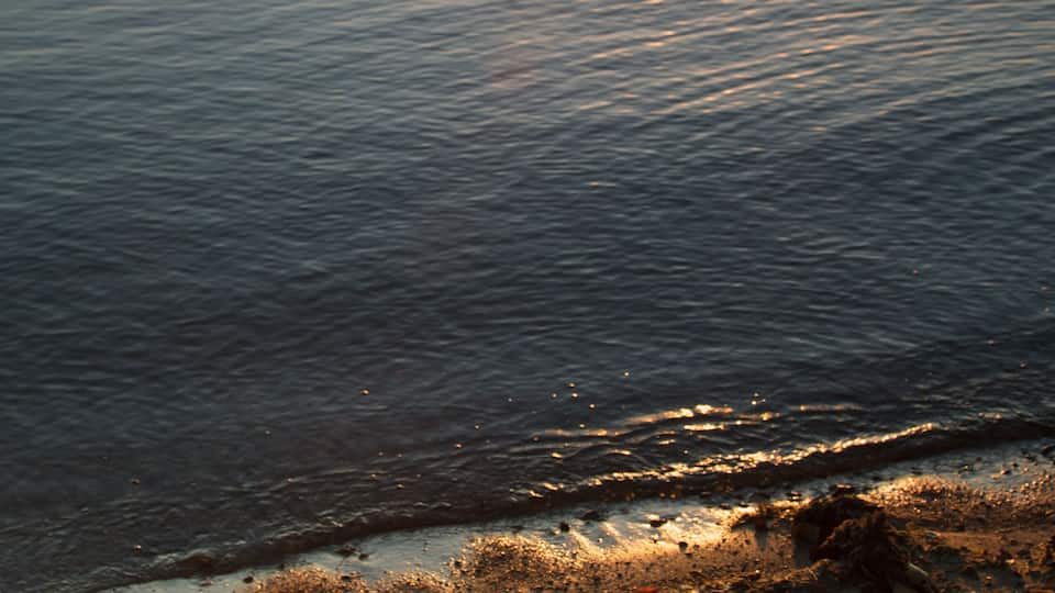 A book and rosary on a wooden surface by a calm body of water at sunset.