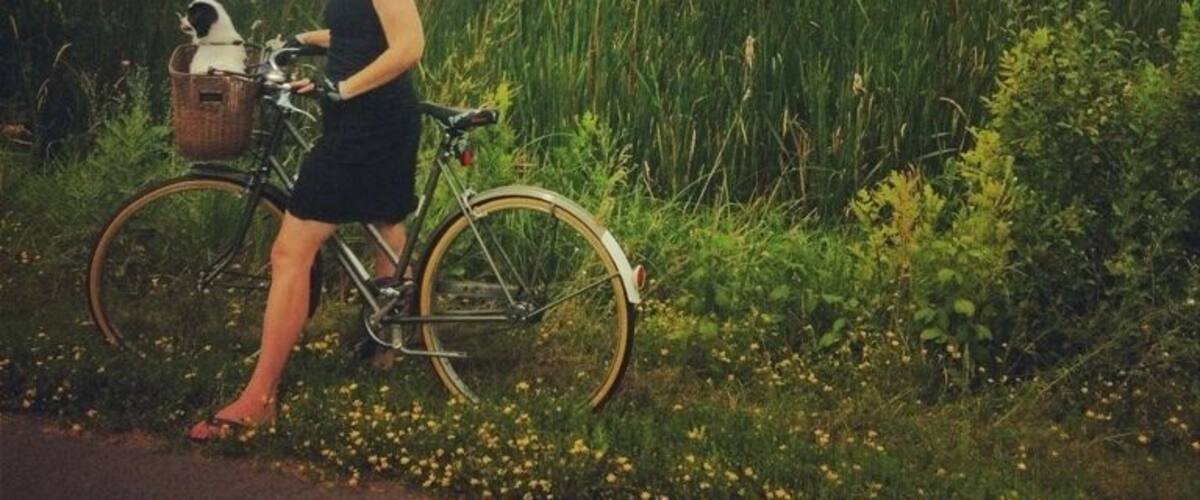 A woman standing next to a bicycle in a field with a basket containing a cat.