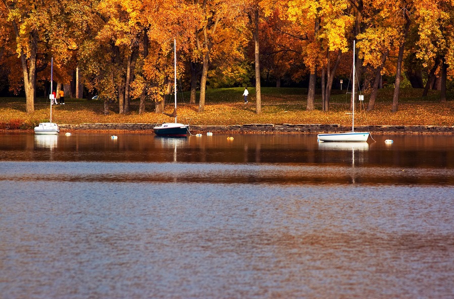 Three sail boats docking along the bank with autumn foliage