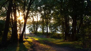 Sunset in the Forest by Water in Wilmar, Minnesota