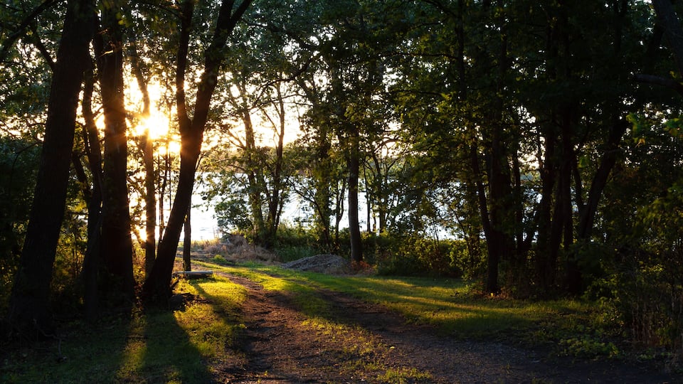 Sunset in the Forest by Water in Wilmar, Minnesota