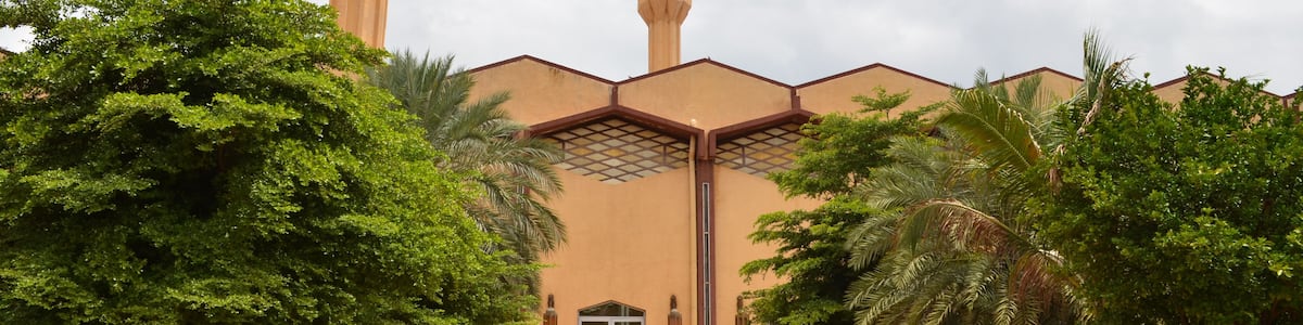 A mosque with a tall minaret and a dome, surrounded by lush greenery.