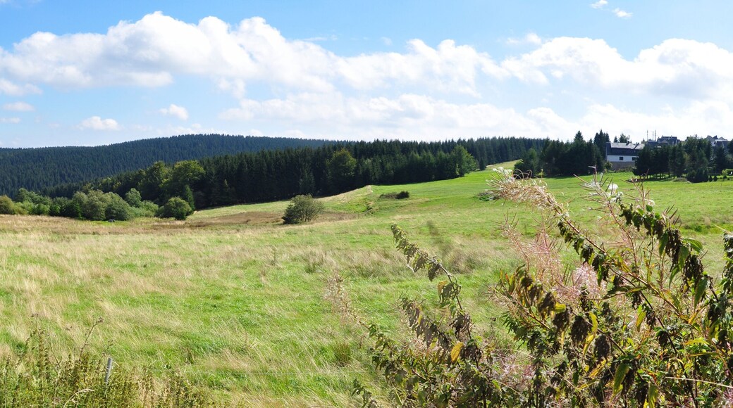 Panoramafoto Thüringer Wald