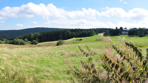 Neustadt am Rennsteig