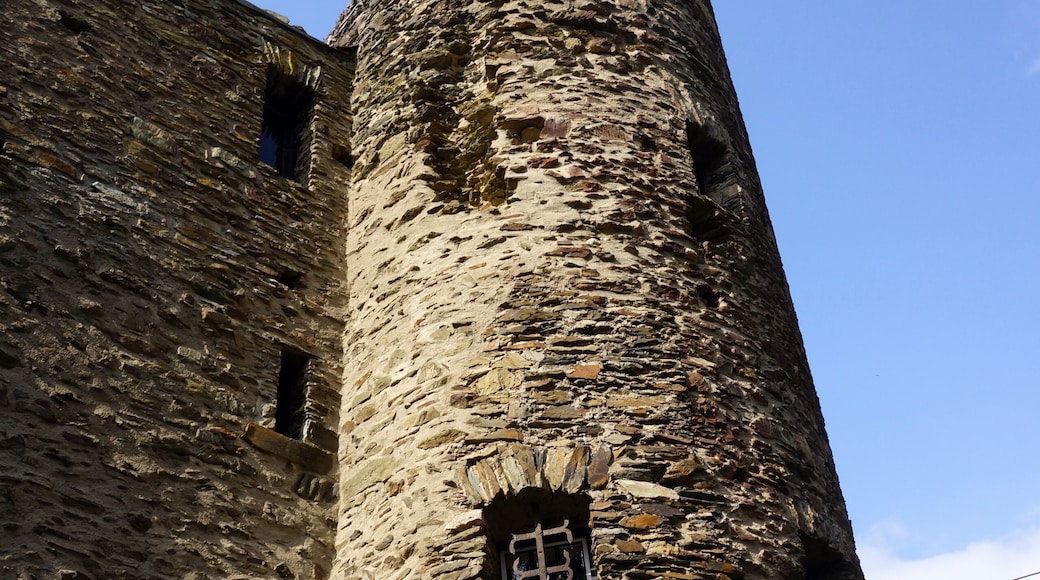 Burgruine Grenzau
