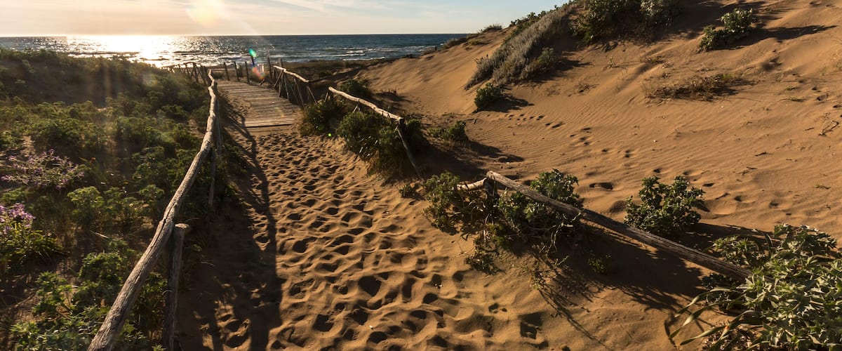 A sandy beach with a wooden boardwalk leading to the ocean.