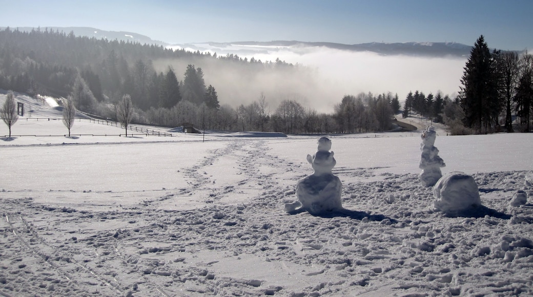 St.Märgen St.Peter Schwarzwald -wolfgang brauner-