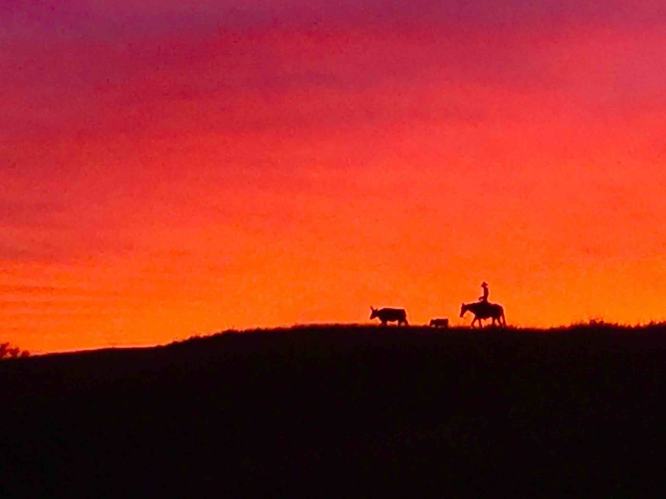 Lonesome cowboy on the road north of Senoita. Do they always have beautiful sunsets?