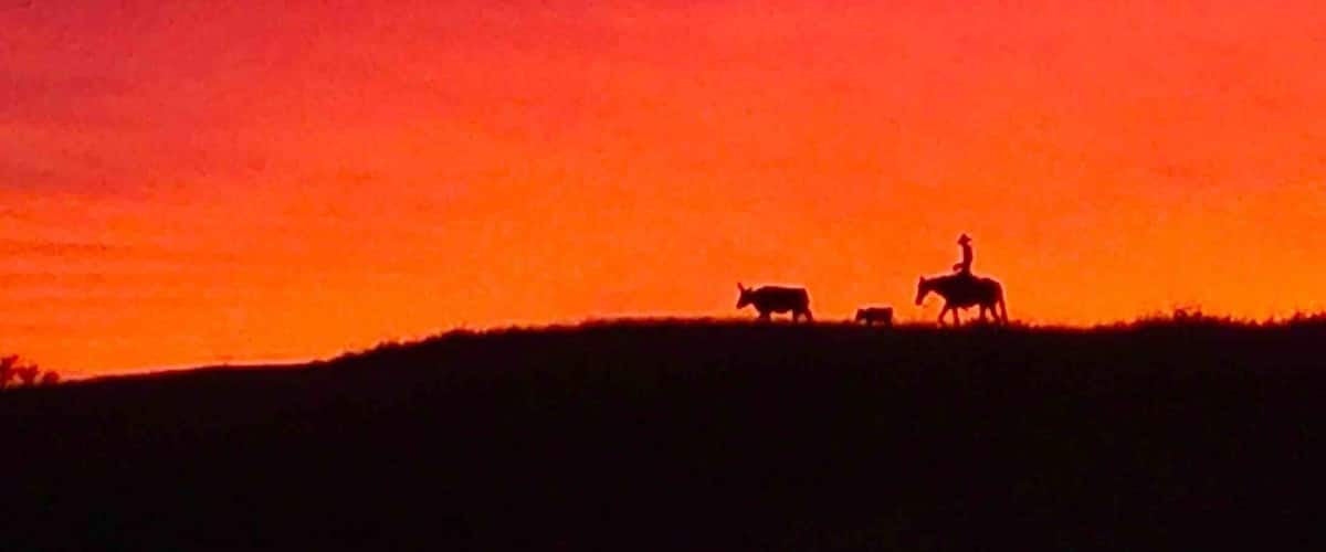 Lonesome cowboy on the road north of Senoita. Do they always have beautiful sunsets?