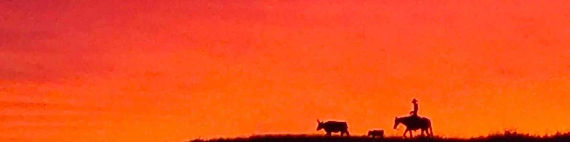 Lonesome cowboy on the road north of Senoita. Do they always have beautiful sunsets?
