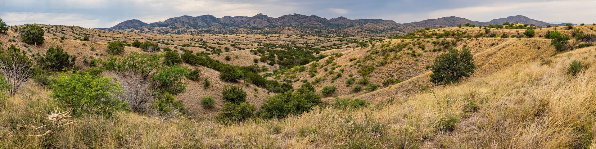 Santa Rita Mountains Arizona