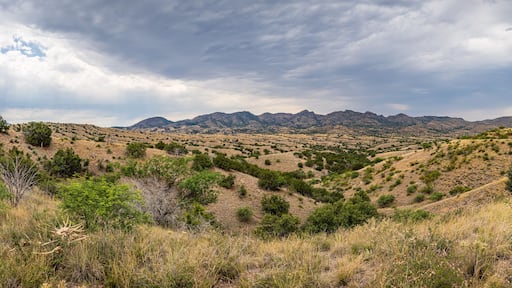 Sonoita