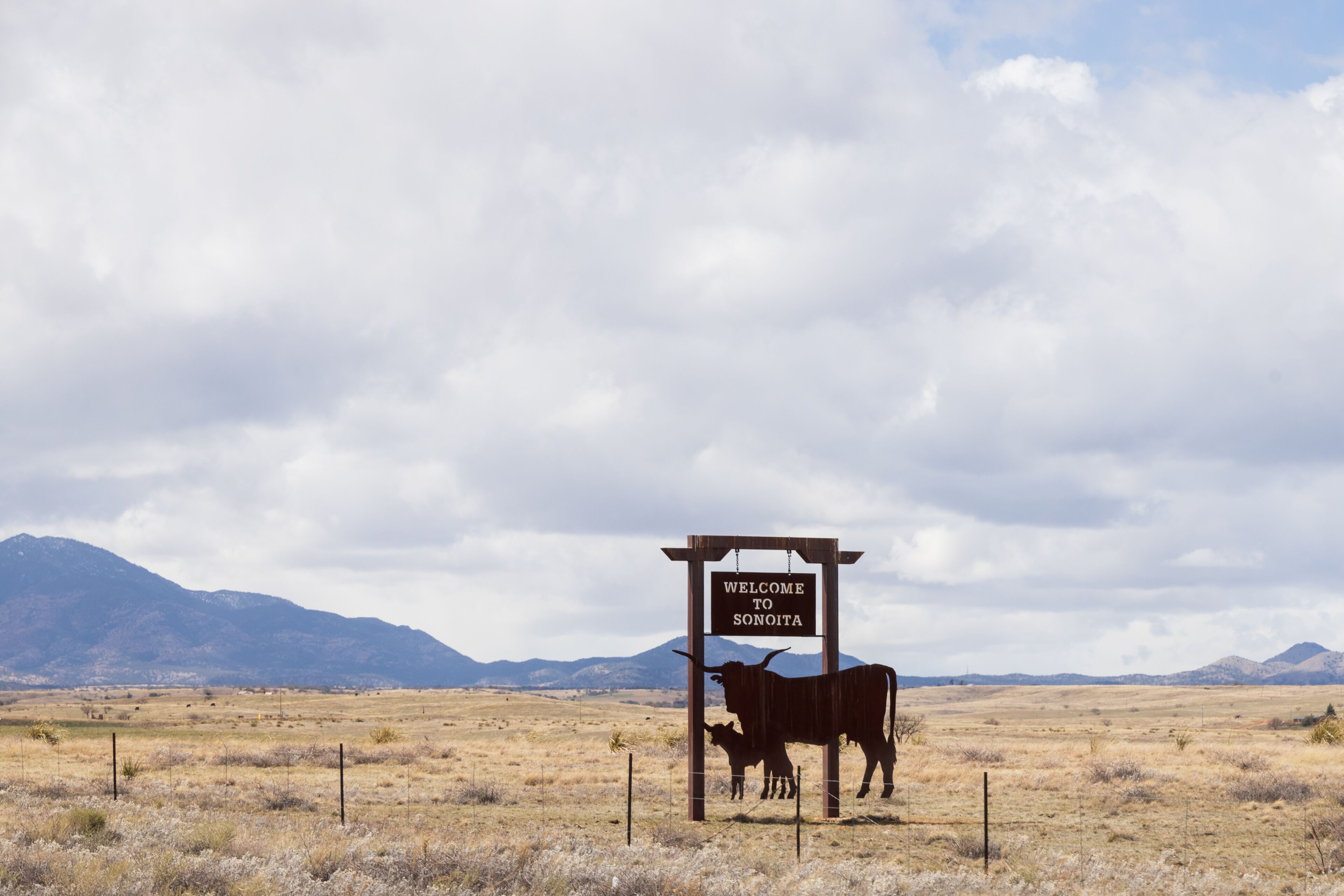 Sonoita