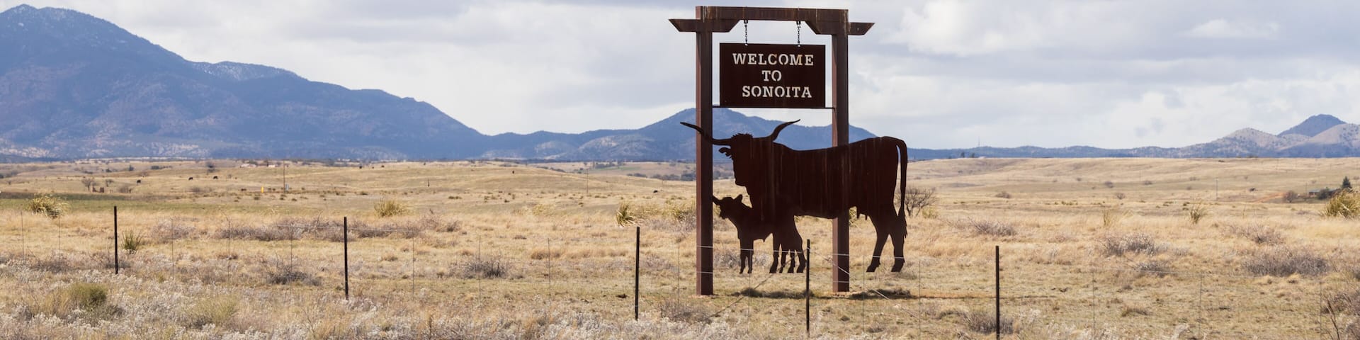 Welcome to Sonoita sign