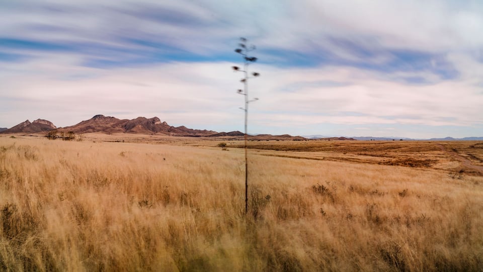 A vast, dry grassland with distant mountains under a partly cloudy sky.