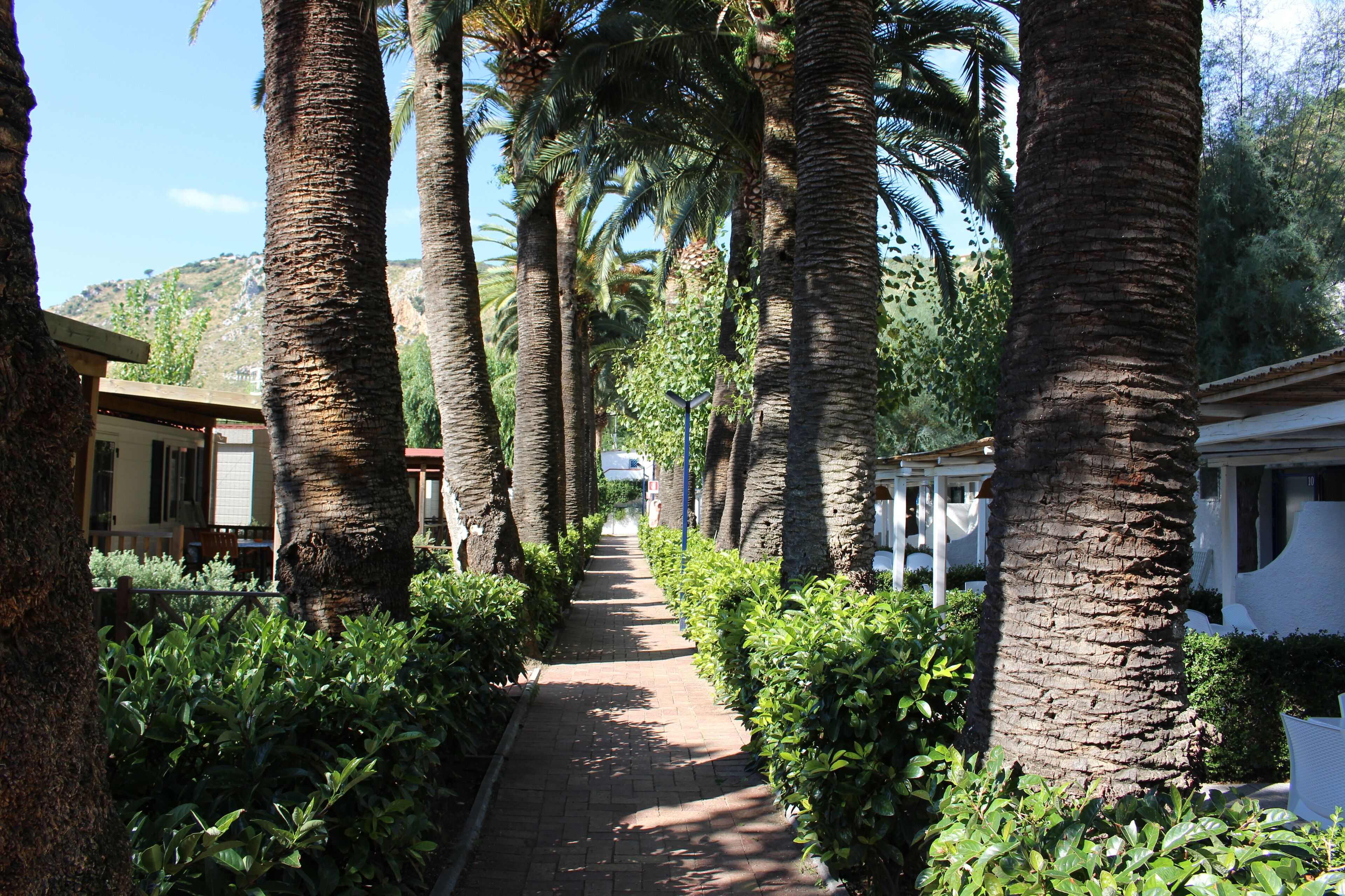 Террачина, Кемпинг "Ле Пальме" (Le Palme Village)