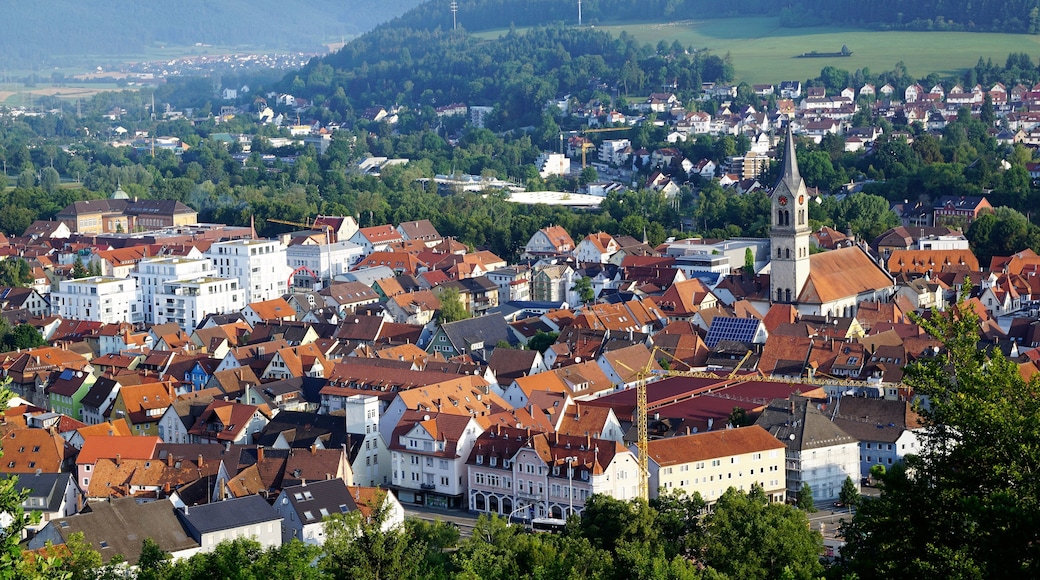 A town with red-roofed buildings, a church with a tall steeple, and a hill in the background.