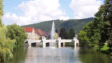Tuttlingen