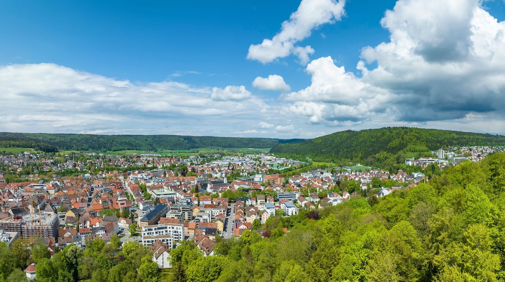 A town with a castle on a hill, surrounded by greenery and a clear sky.